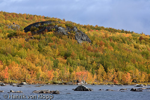 Abisko i höstfärger