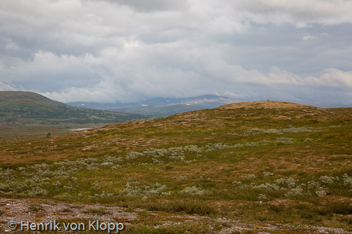 I väntan på regn Vindelfjällen