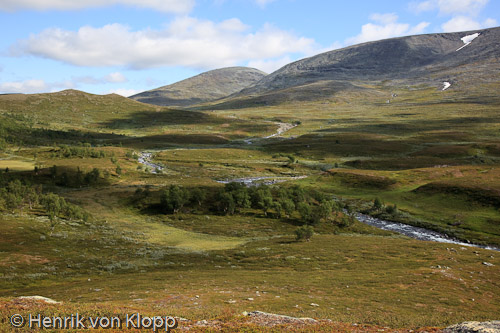 Vindelfjällen