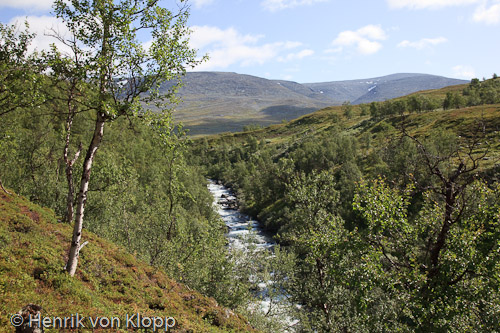 Vindelfjällen