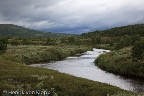 Vindelfjällen
