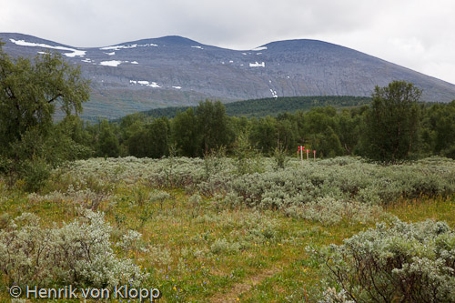 Vindelfjällen