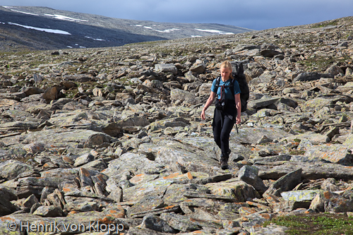 Ammarfjället