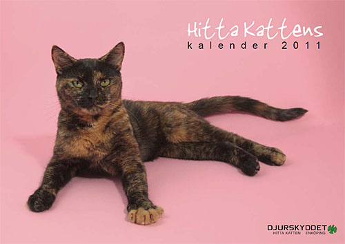 Hitta Katten