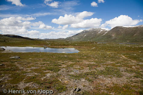 Platån söder om Ammarfjället