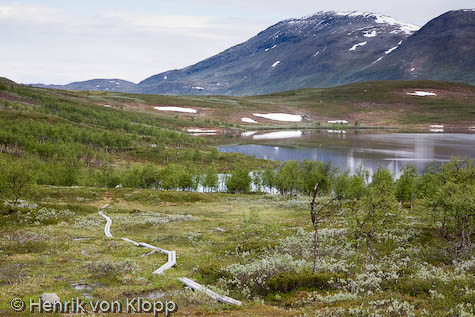 Guobjajaure och Ammarfjället
