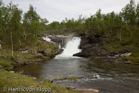 Vattenfall - Salvijukke