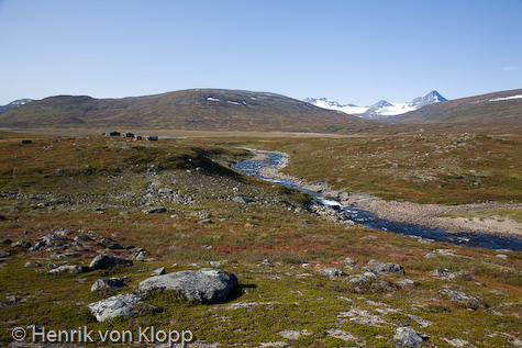 Pieskehaurestugorna från leden mot Vaimok